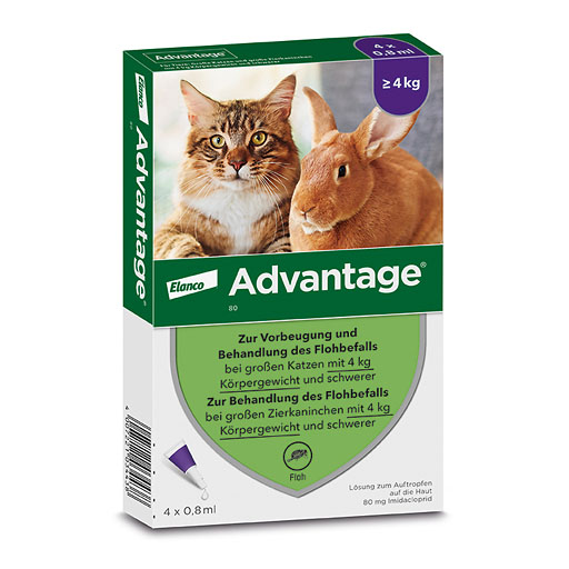 ADVANTAGE 80 mg f.gr.Katzen u.gr.Zierkaninchen
